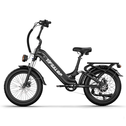 Tifgalop XC20 Electric Bike