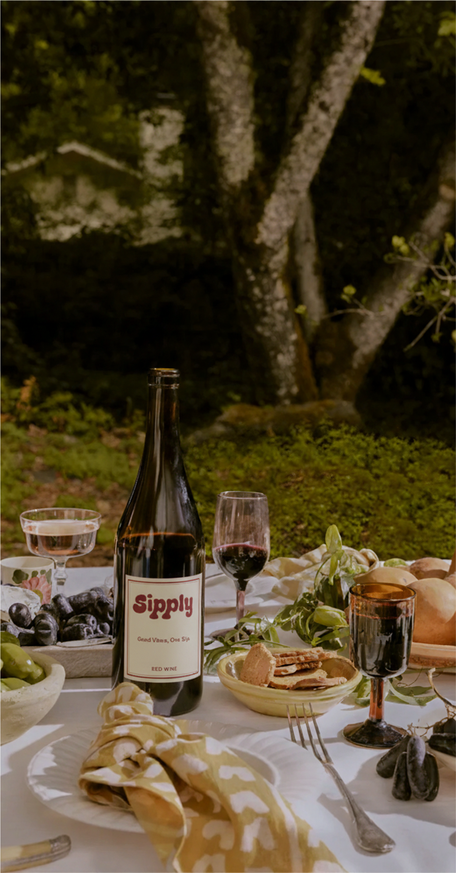 Red Wine Spritzer​​