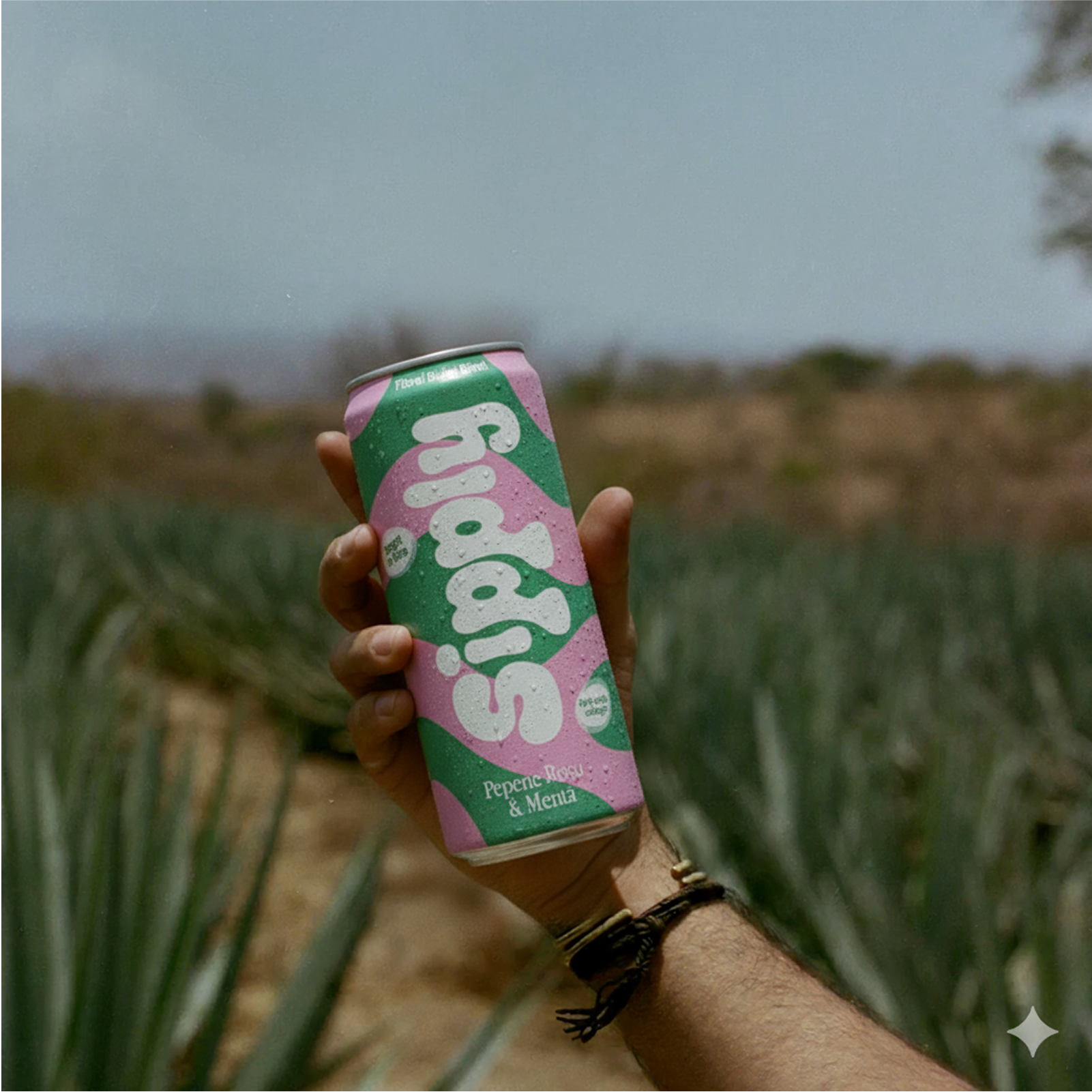 Ginger & Turmeric Soda