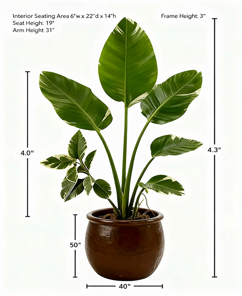 Morning Dew Plant Decor