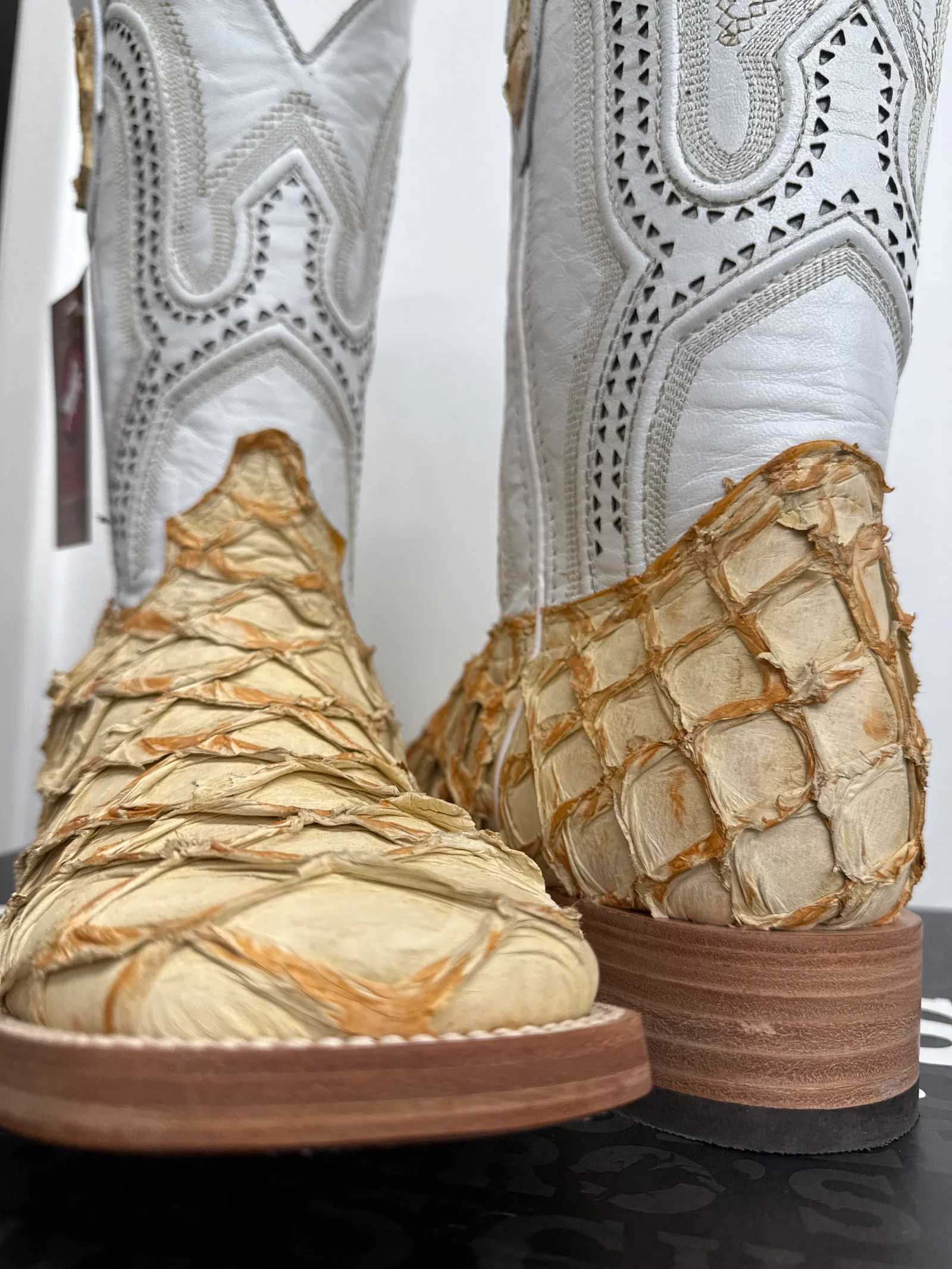 Premium Exotic Pirarucu White Castor