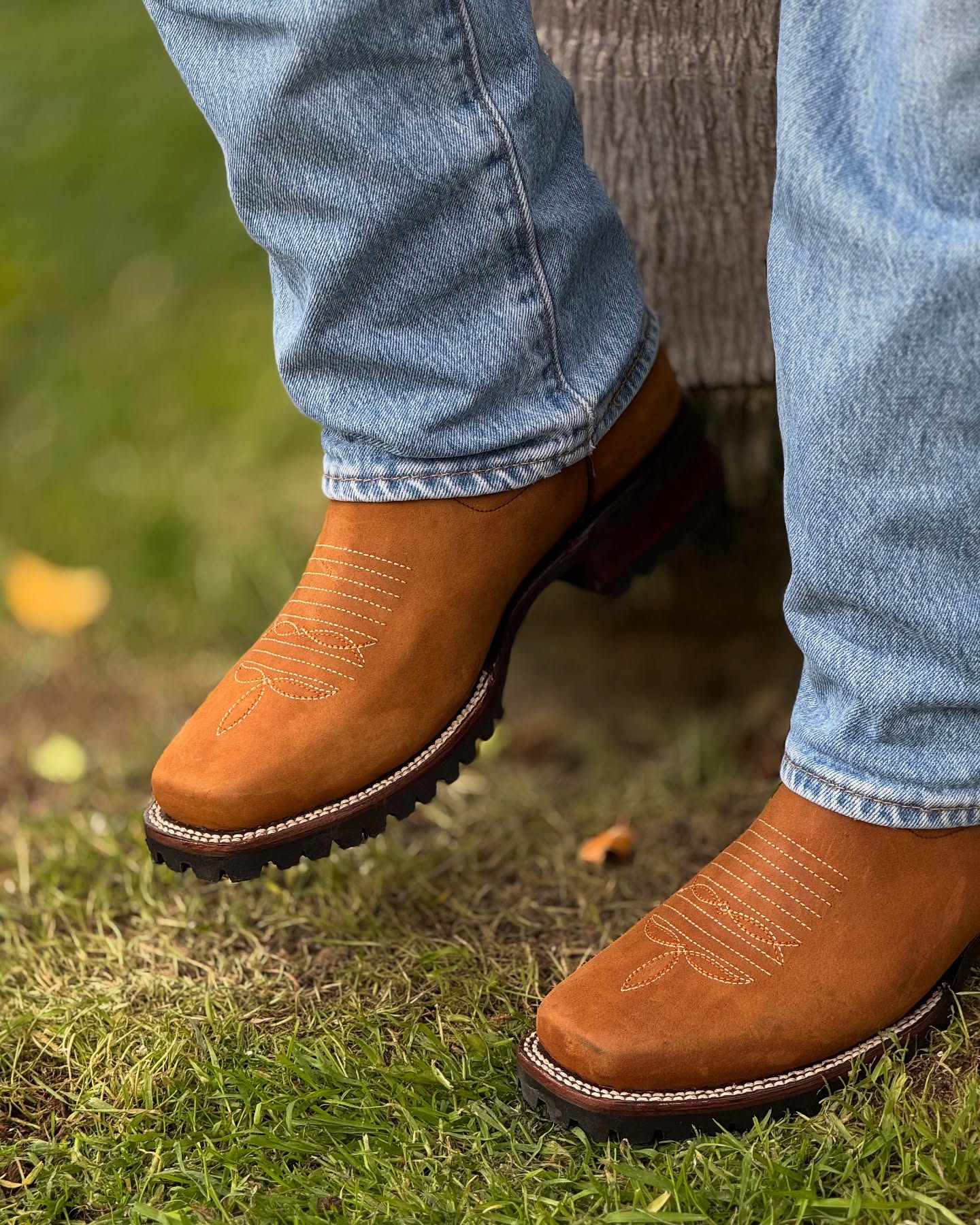 almeida_bootsoficial_1740349311_3574631569907317547_52220402971