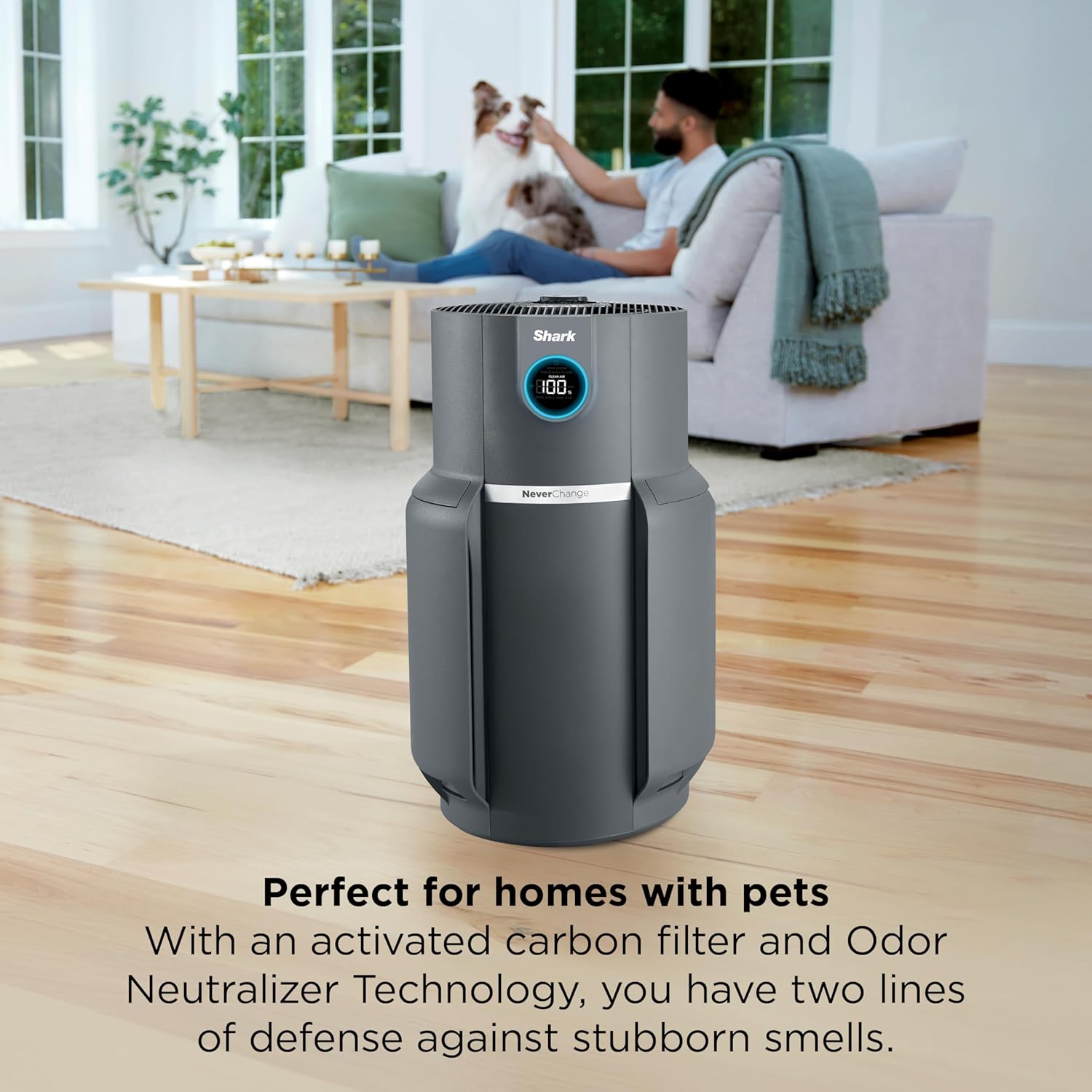 Shark Air Purifier for Home, NeverChange Max, for Large Room, Kitchen, Home Office, HEPA-Exceeding Filter, Captures Pollutants, Pet Dander, Dust, Odor, Smoke, and More, HP301