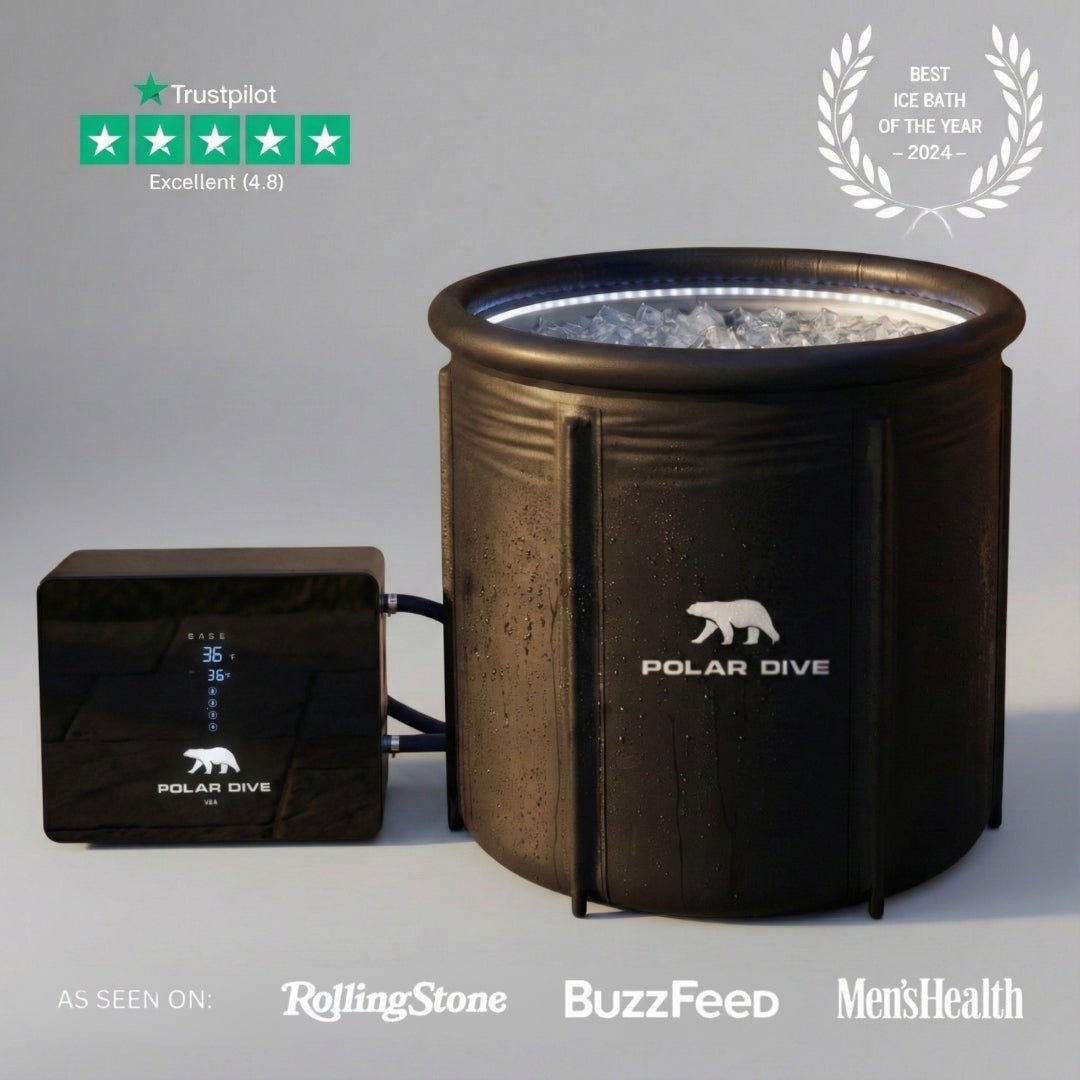 The Polar Dive - Polar Dive USA