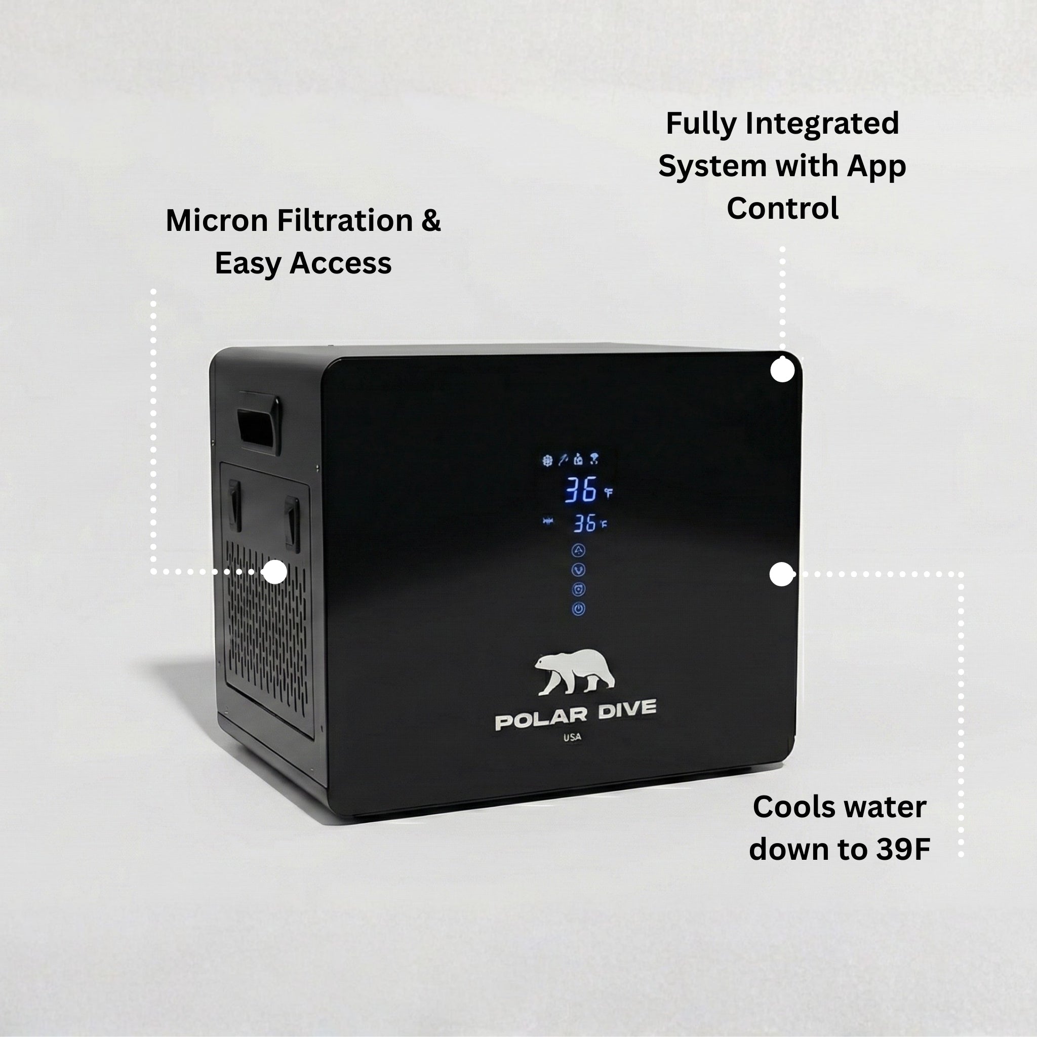 The Polar Dive - Polar Dive USA