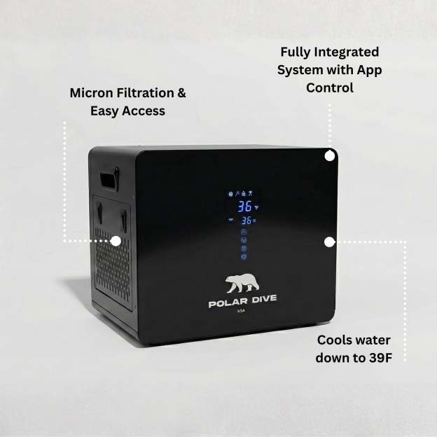 The Polar Dive - Polar Dive USA