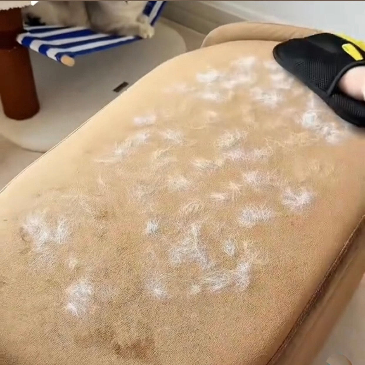 Surface covered in pet hair before