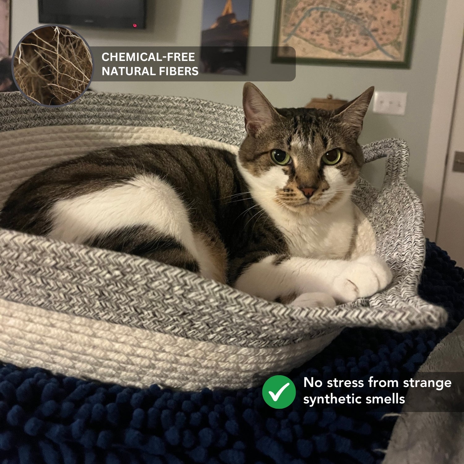 Klynein Handwoven Cat Basket