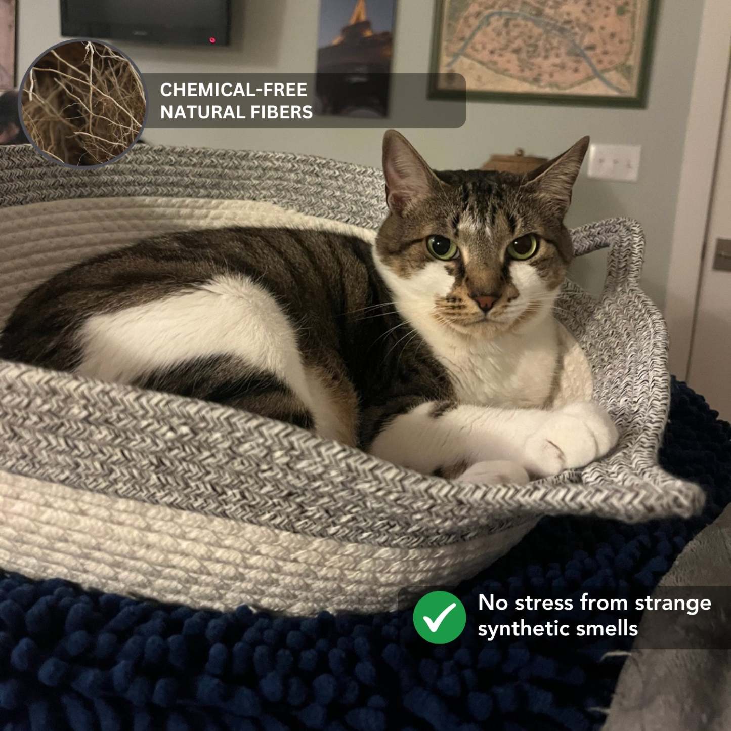 Klynein Handwoven Cat Basket
