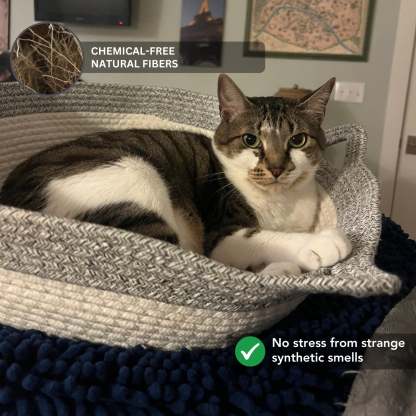 Klynein Handwoven Cat Basket