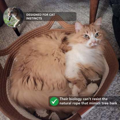 Klynein Handwoven Cat Basket