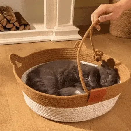 Cat playing with built-in woven ball