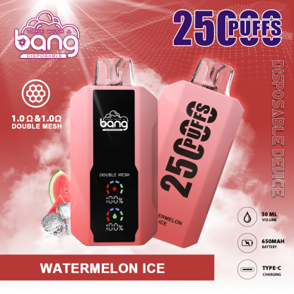 BANG 25000 PUFFS DSK005
