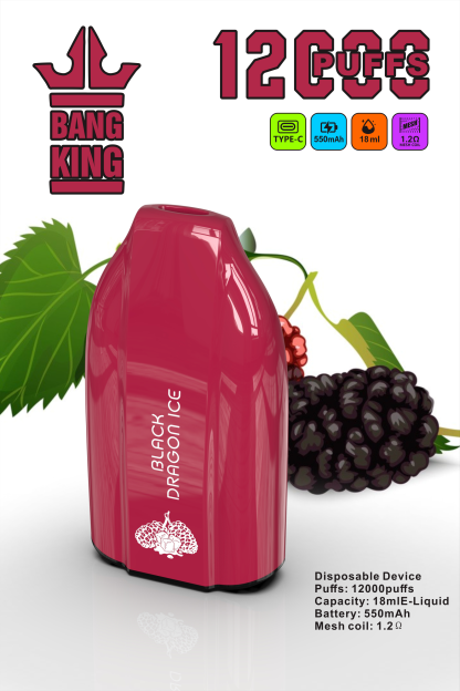 BANG KING 12000 PUFFS  DSK029 in stock 10pcs/set