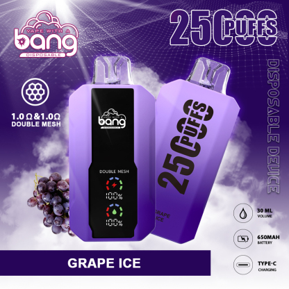BANG 25000 PUFFS DSK005