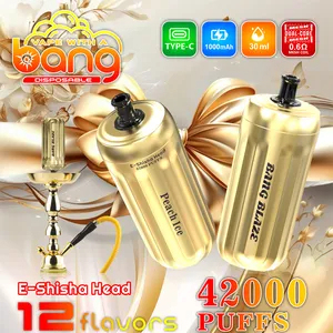 BANGBLAZE 42000 puffs DSK038 hookah
