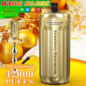 BANGBLAZE 42000 puffs DSK038 hookah