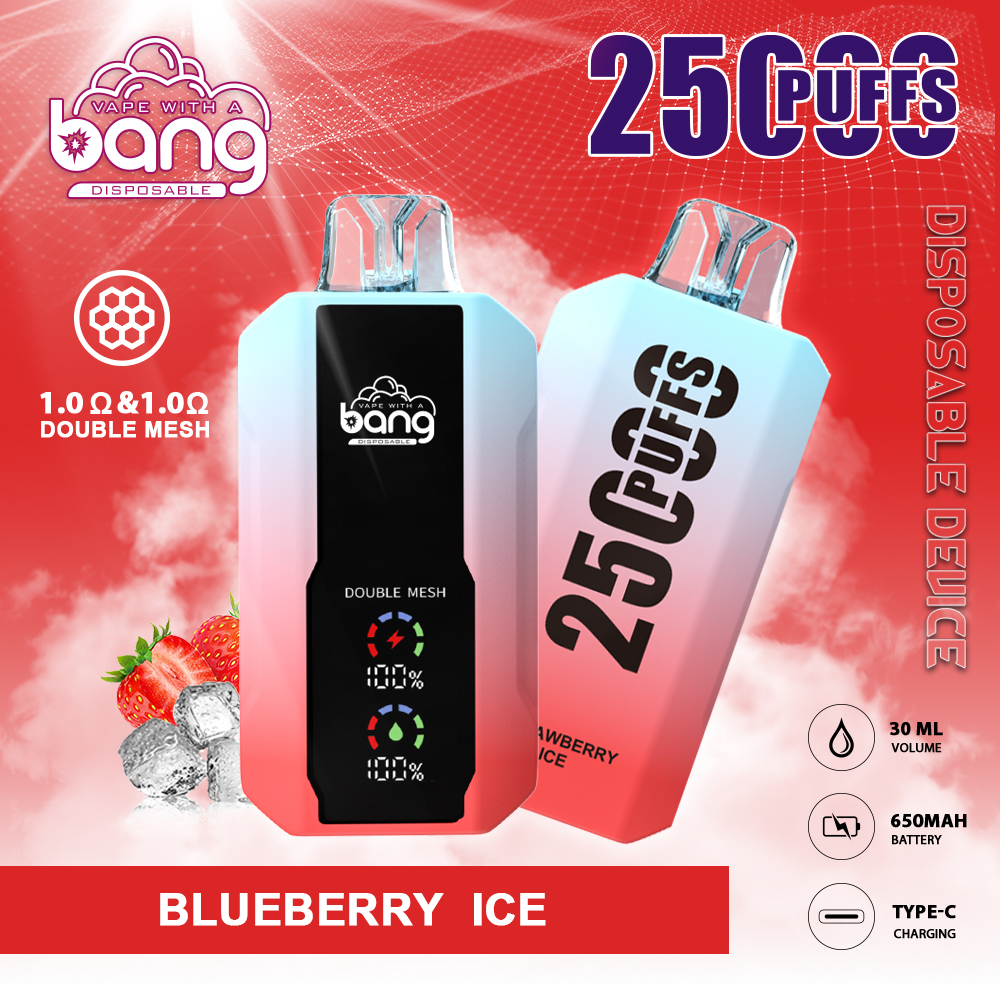 BANG 25000 PUFFS DSK005