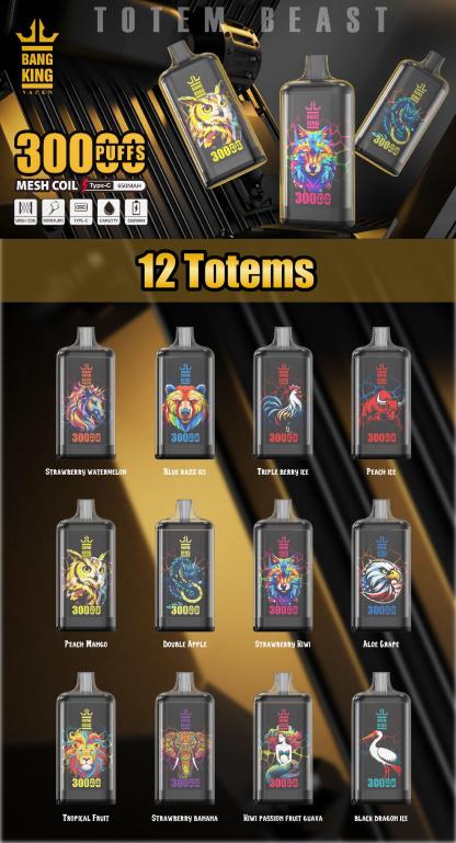 Bangking 30000puffs DSK057  in stock 10pcs/set