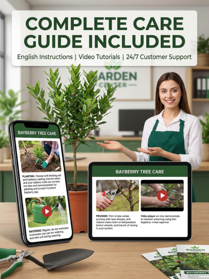 【Yumberry】The Mystical Oriental Berry Tree ✨ | 2-Year Sapling 🌱| Bears Fruit Same Year 🍓 | Self-Pollinating 🌸 | Cold-Hardy, Drought-Tolerant ❄️☀️