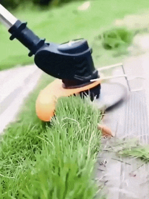 【3-Hour Long-Lasting Battery Life】🚜Extra-Large Manor Brushless Lawn Mower |