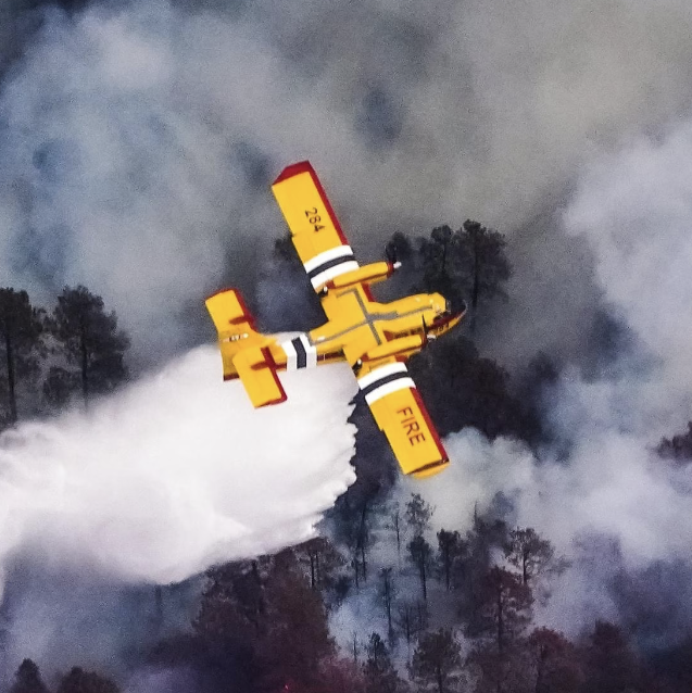 CL-415 Firefighter Aircraft Weathervane – Aviation Garden Wind Spinner