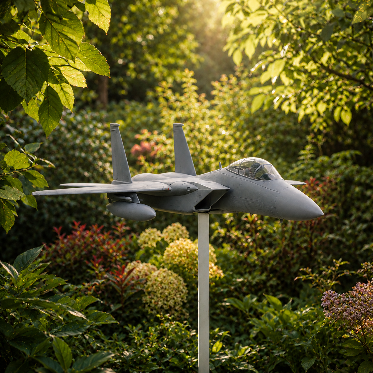 Modern Military Aircraft