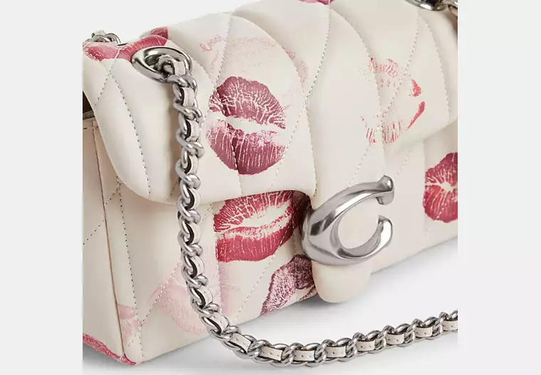 Coathtch Classic handbags-1