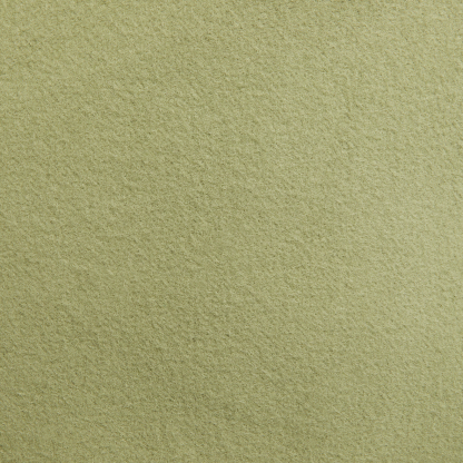 Sportswear  Fleece - Women's 3/4-Sleeve Crop Polo Sweatshirt (Plus Size)