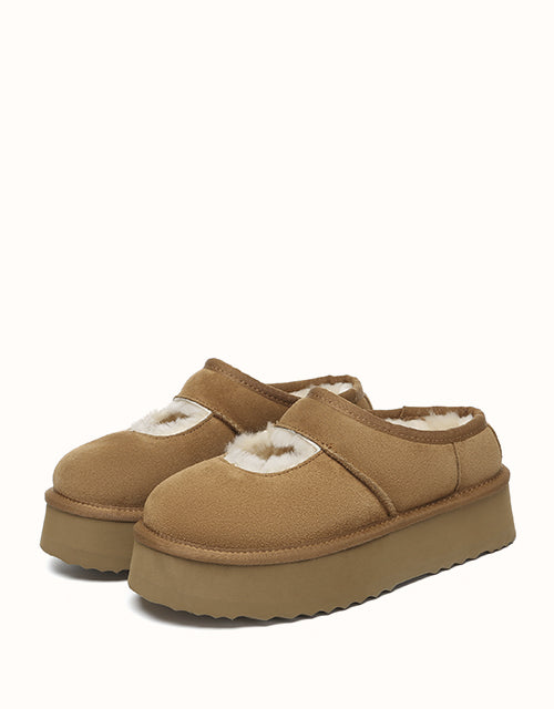 AUSTRALIAN SHEPHERD Carmella