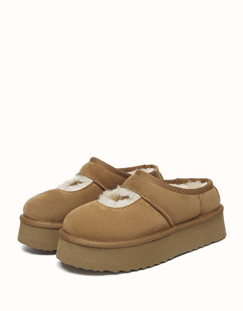 AUSTRALIAN SHEPHERD Carmella