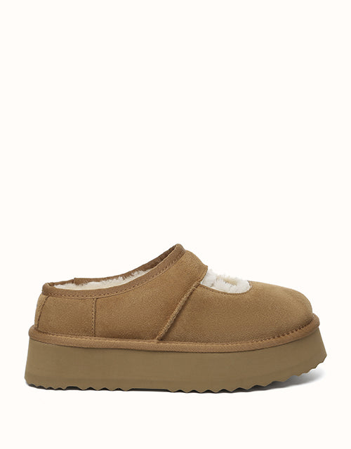 AUSTRALIAN SHEPHERD Carmella