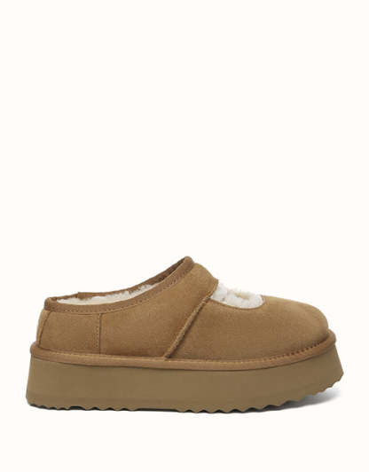 AUSTRALIAN SHEPHERD Carmella