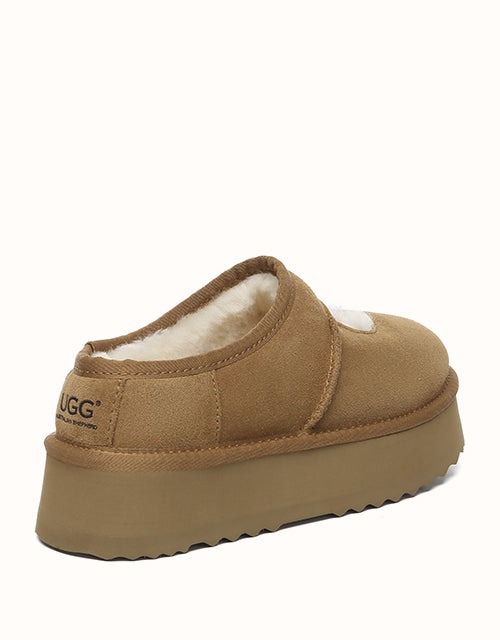 AUSTRALIAN SHEPHERD Carmella