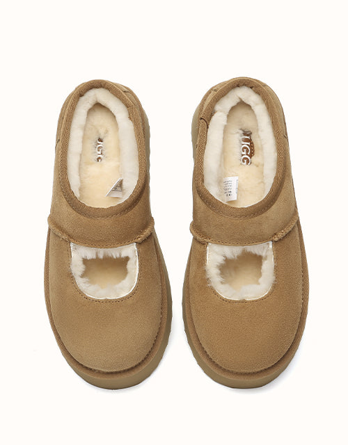 AUSTRALIAN SHEPHERD Carmella