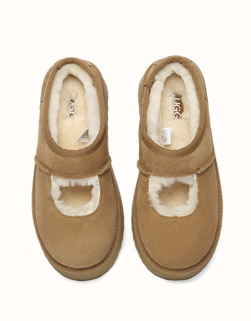 AUSTRALIAN SHEPHERD Carmella