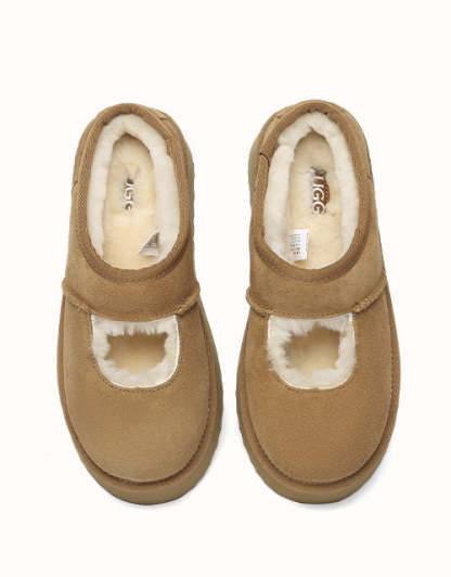 AUSTRALIAN SHEPHERD Carmella