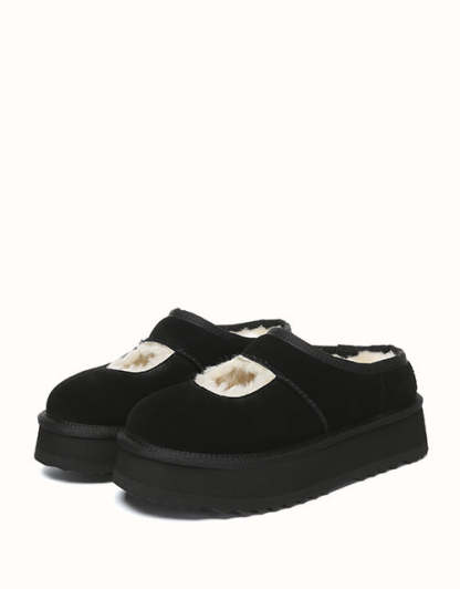 AUSTRALIAN SHEPHERD Carmella