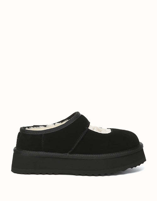 AUSTRALIAN SHEPHERD Carmella