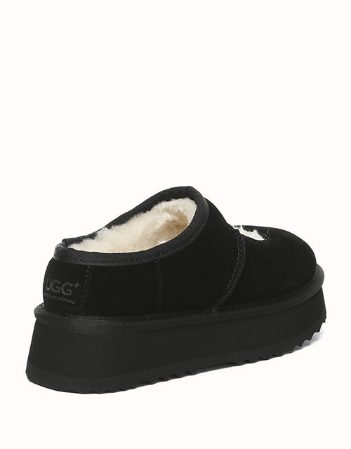 AUSTRALIAN SHEPHERD Carmella