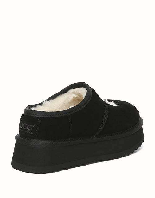 AUSTRALIAN SHEPHERD Carmella