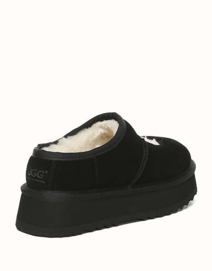 AUSTRALIAN SHEPHERD Carmella