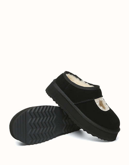 AUSTRALIAN SHEPHERD Carmella