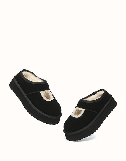 AUSTRALIAN SHEPHERD Carmella