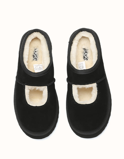 AUSTRALIAN SHEPHERD Carmella