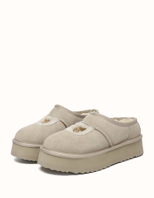 AUSTRALIAN SHEPHERD Carmella