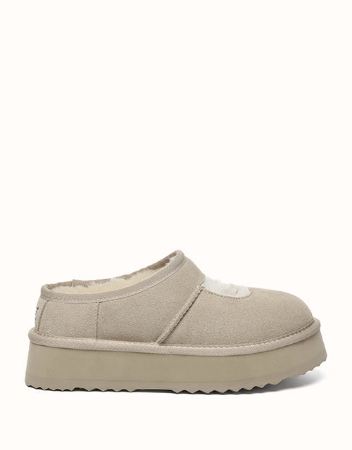 AUSTRALIAN SHEPHERD Carmella