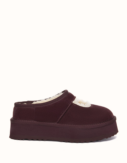 AUSTRALIAN SHEPHERD Carmella