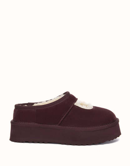 AUSTRALIAN SHEPHERD Carmella