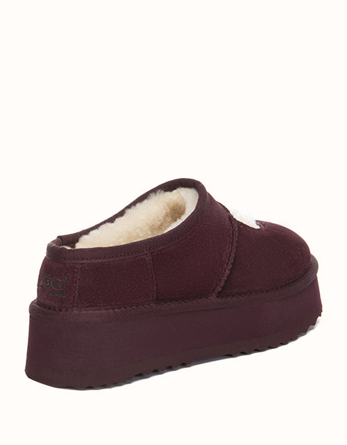 AUSTRALIAN SHEPHERD Carmella